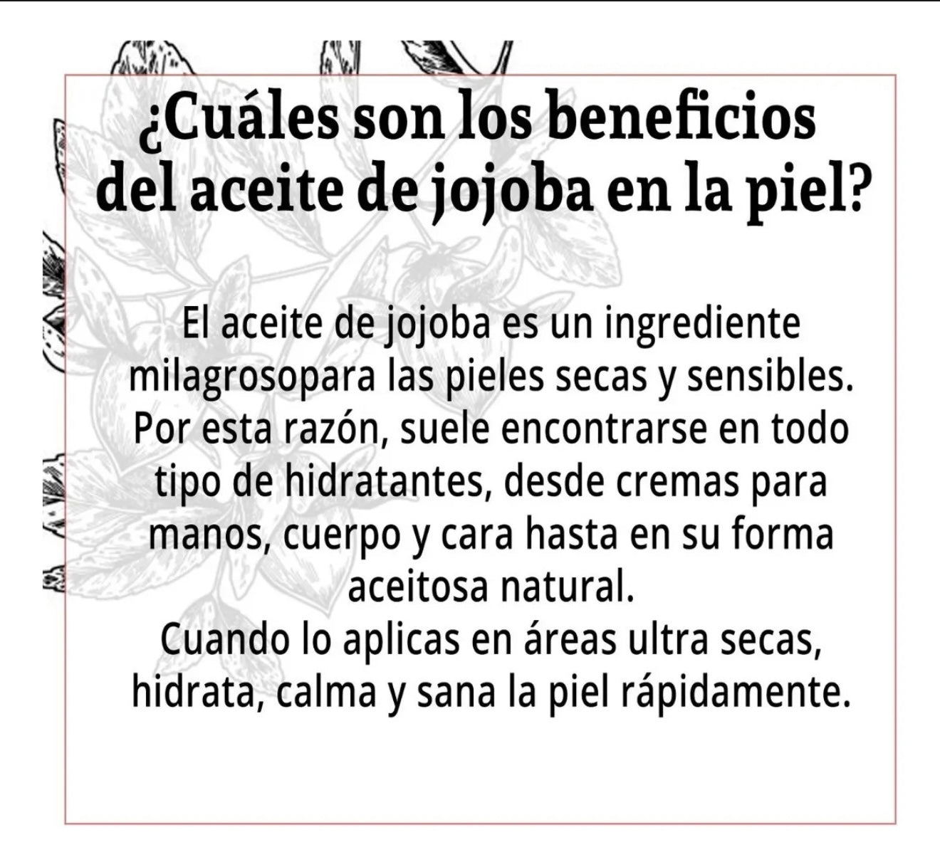 Aceite Jojoba Dorado 100% Orgánico Prensado En Frio 250 Ml